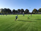S.K.N.W.K. JO11-1JM - Colijnsplaatse Boys JO11-1 (competitie) seizoen 2022-2023 (najaar - 1e fase)) (12/69)